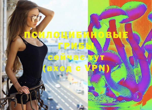 бошки Аркадак