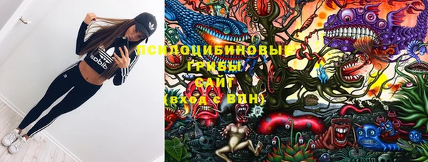 стафф Арсеньев