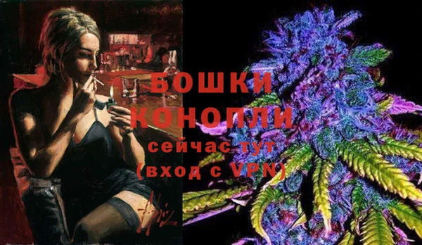 бошки Аркадак