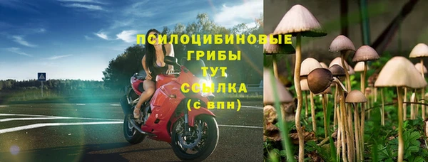 стафф Арсеньев
