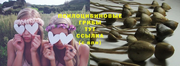 ALPHA-PVP Армянск